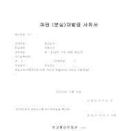 여권(분실)재발급사유서 여권(분실)재발급사유서